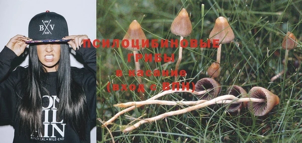 метадон Верхний Тагил