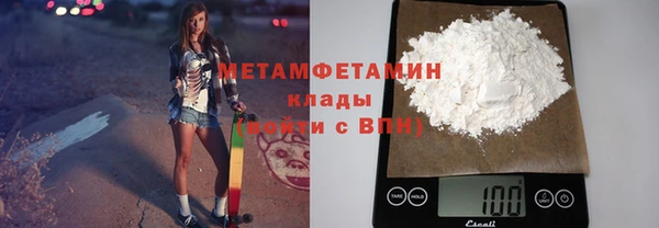 прущие грибы Бронницы