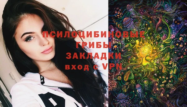 ешки Бородино