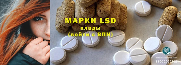 прущие грибы Бронницы