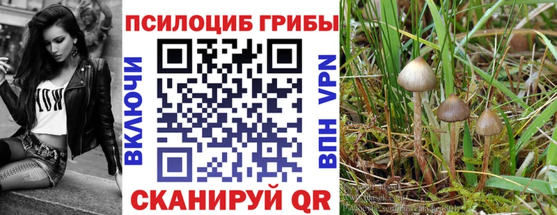 Галлюциногенные грибы мухоморы  Новохопёрск 
